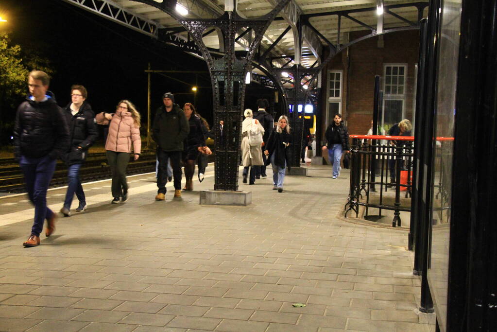 Treinverkeer stilgelegd wegens boom op spoor