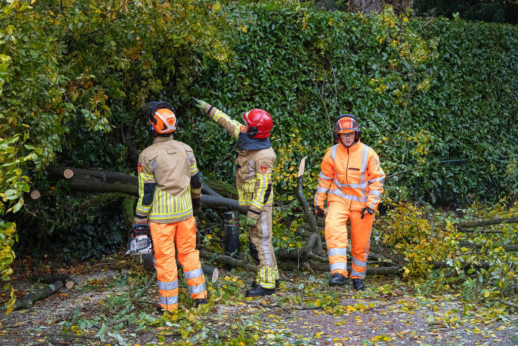 Grote boom waait om door storm