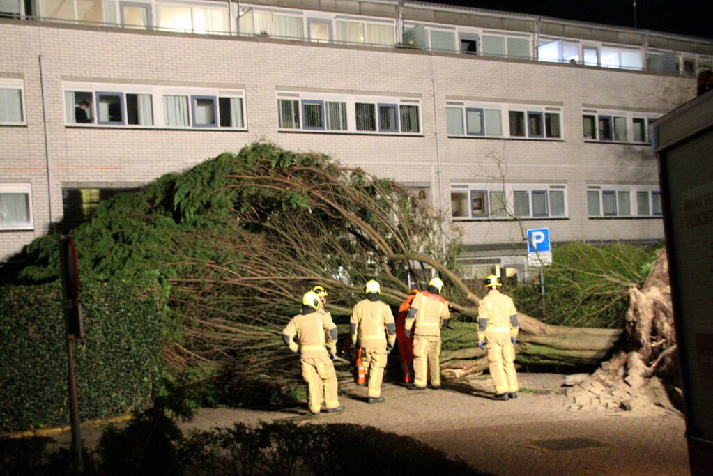 Gigantische boom valt om voor ingang van gebouw