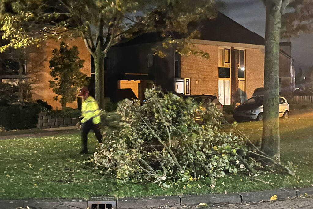 Deel van boom komt op straat terecht door harde wind