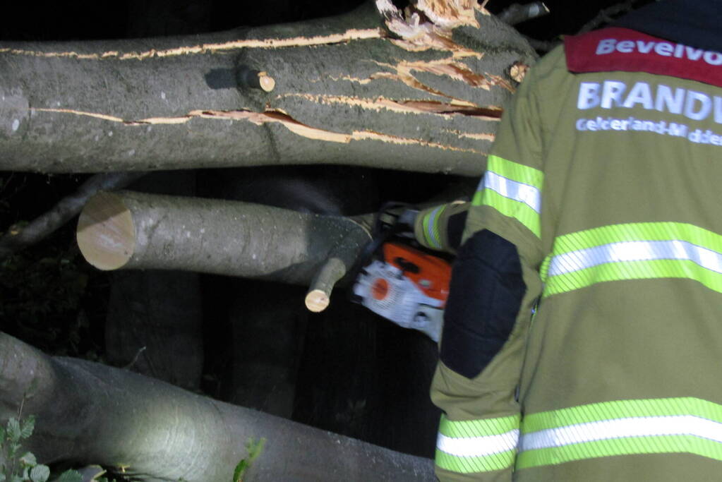 Afgebroken tak verspert weg