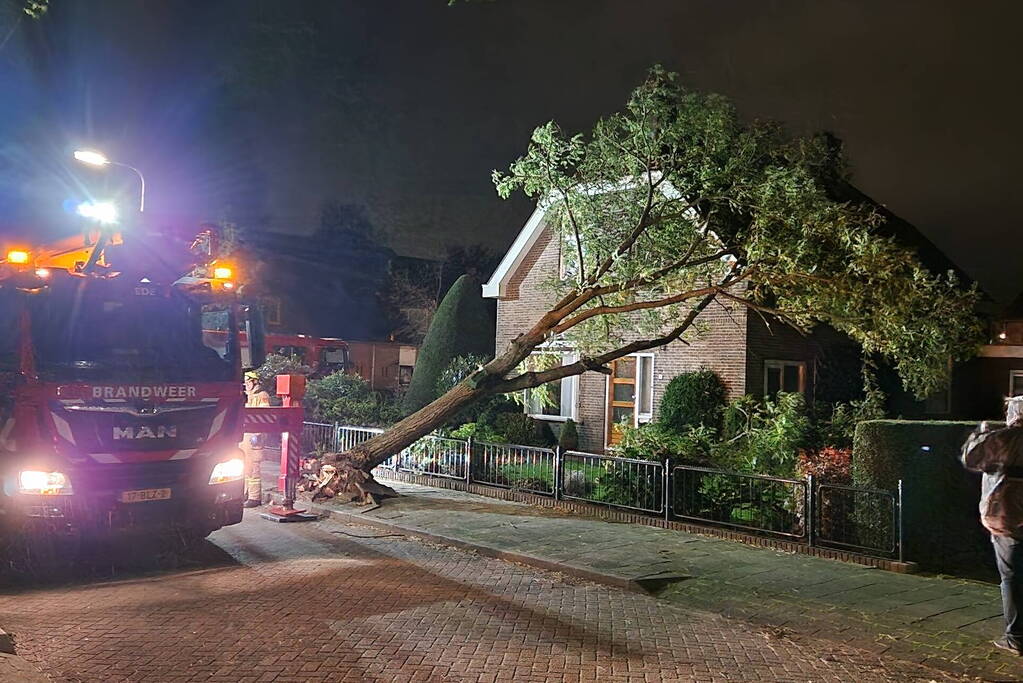 Boom belandt tegen woning door storm