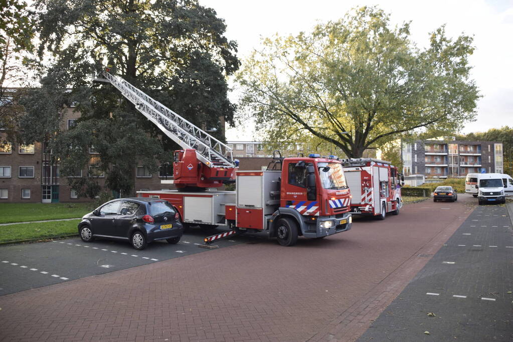 Tak van grote boom breekt af