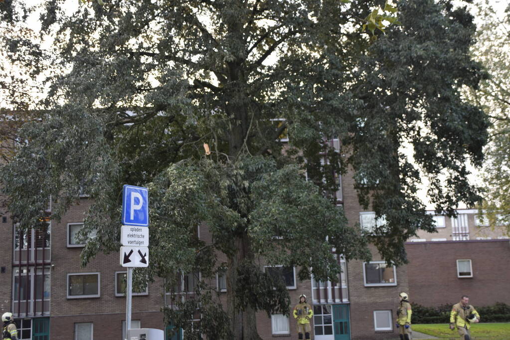 Tak van grote boom breekt af