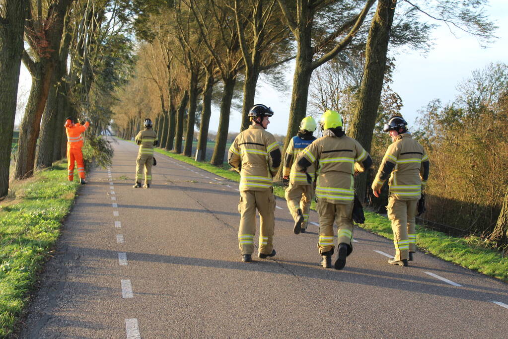 Brandweer ingezet voor afgebroken tak