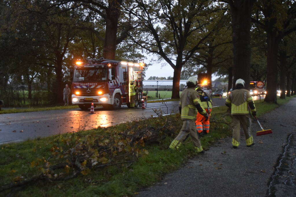 Weg afgesloten door afgebroken tak