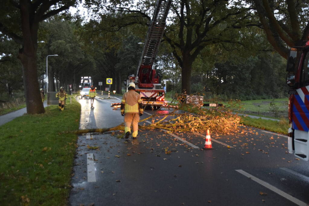 Weg afgesloten door afgebroken tak