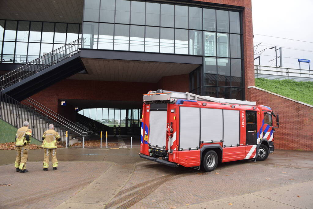 Brandweer vangt valk in station