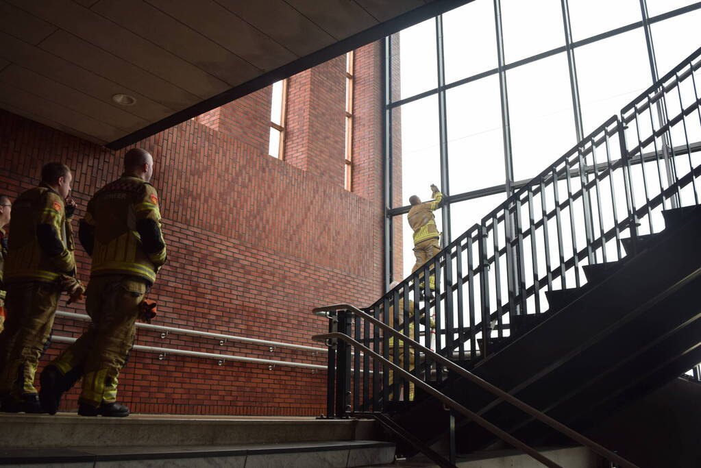 Brandweer vangt valk in station