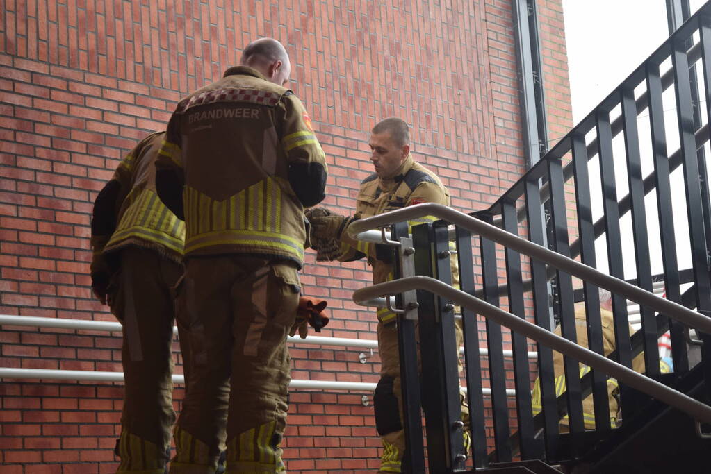 Brandweer vangt valk in station