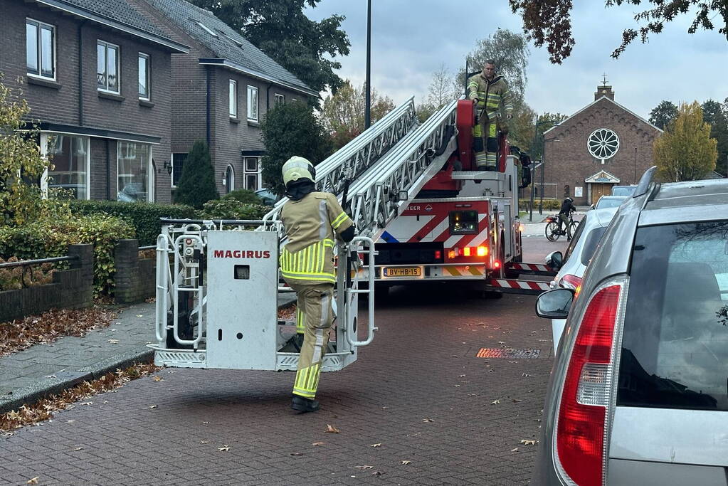Grote loshangende tak boven weg verwijderd