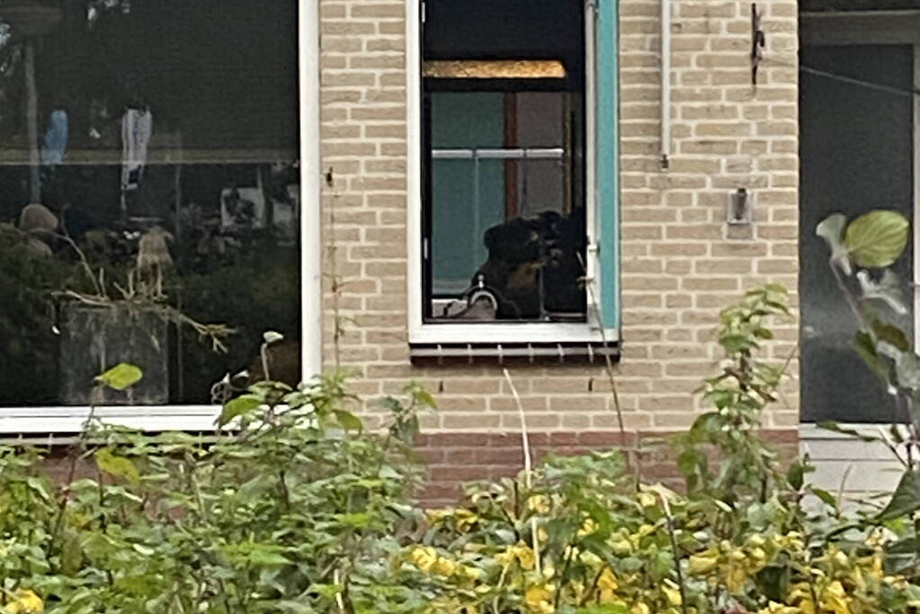 Brandweer heeft keukenbrand snel onder controle