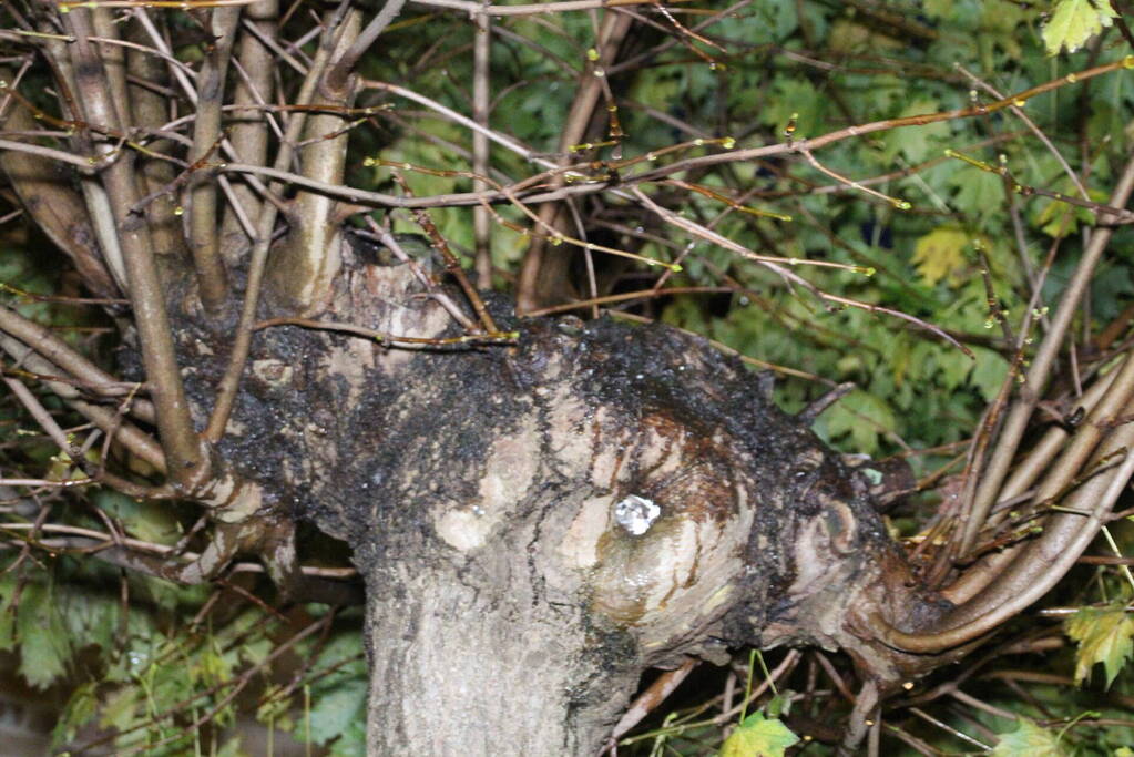 Meerdere woning zonder stroom door blikseminslag