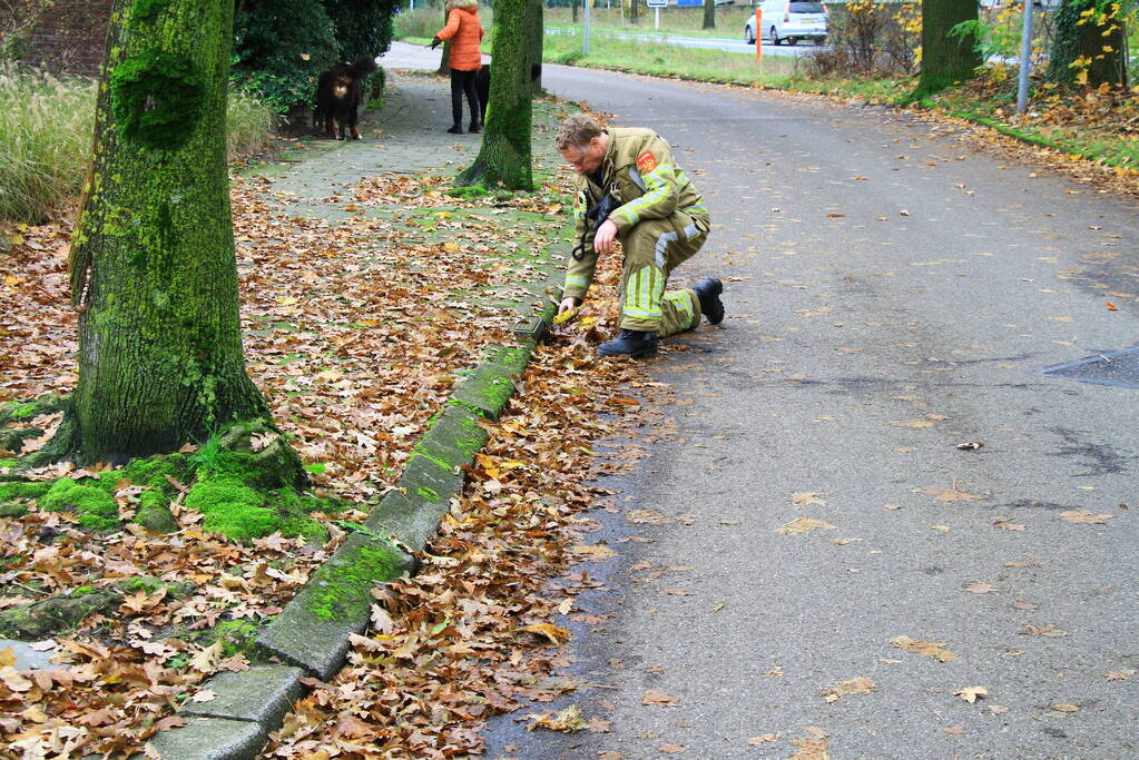 Gaslekkage in woning na gaslucht