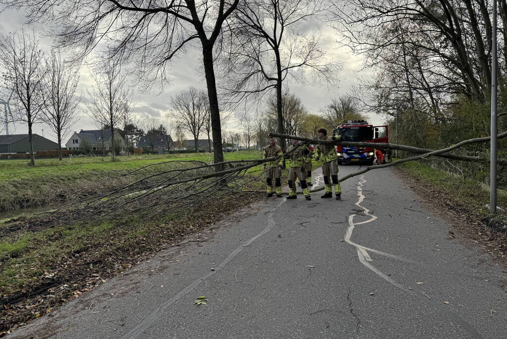 Brandweer zaagt boom in stukken