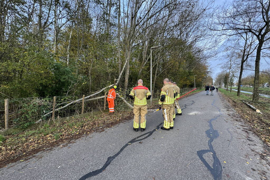 Brandweer zaagt boom in stukken