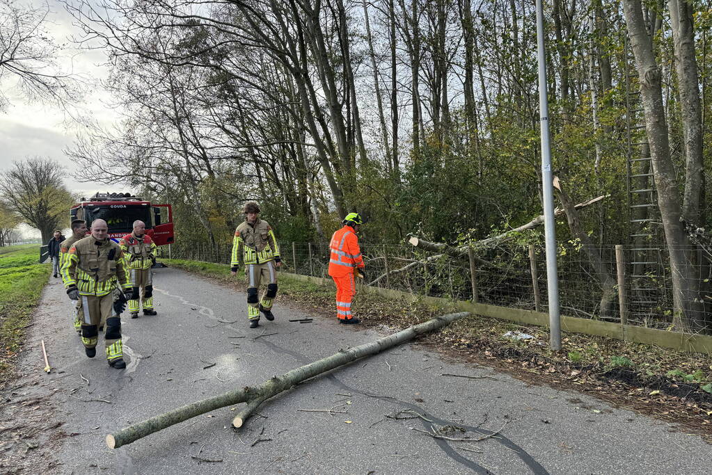 Brandweer zaagt boom in stukken