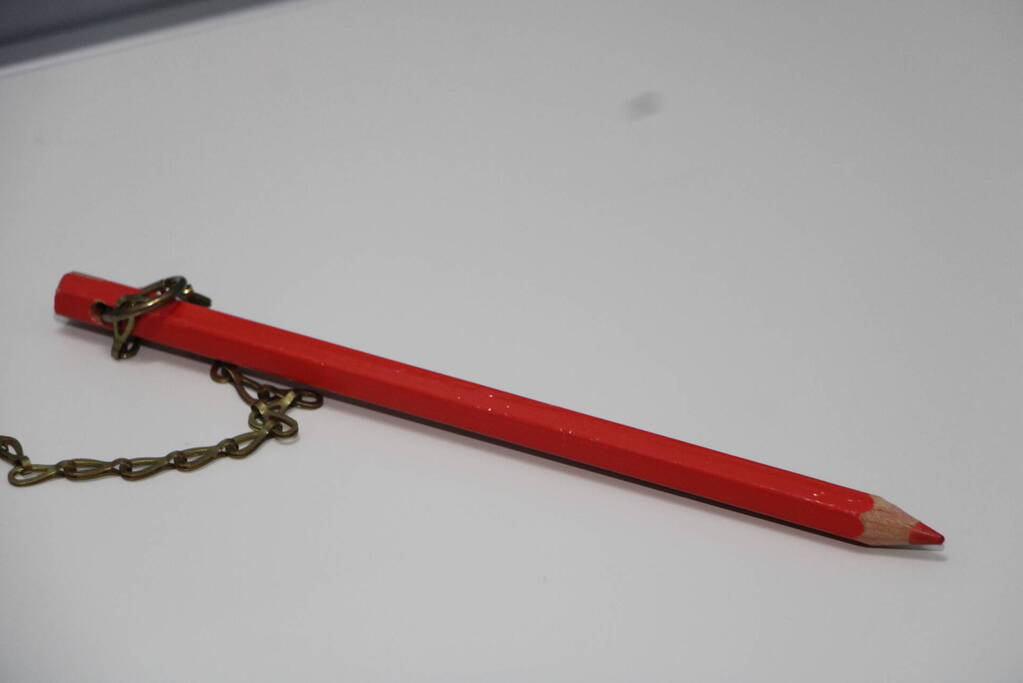 In de rij voor tweede kamerverkiezingen