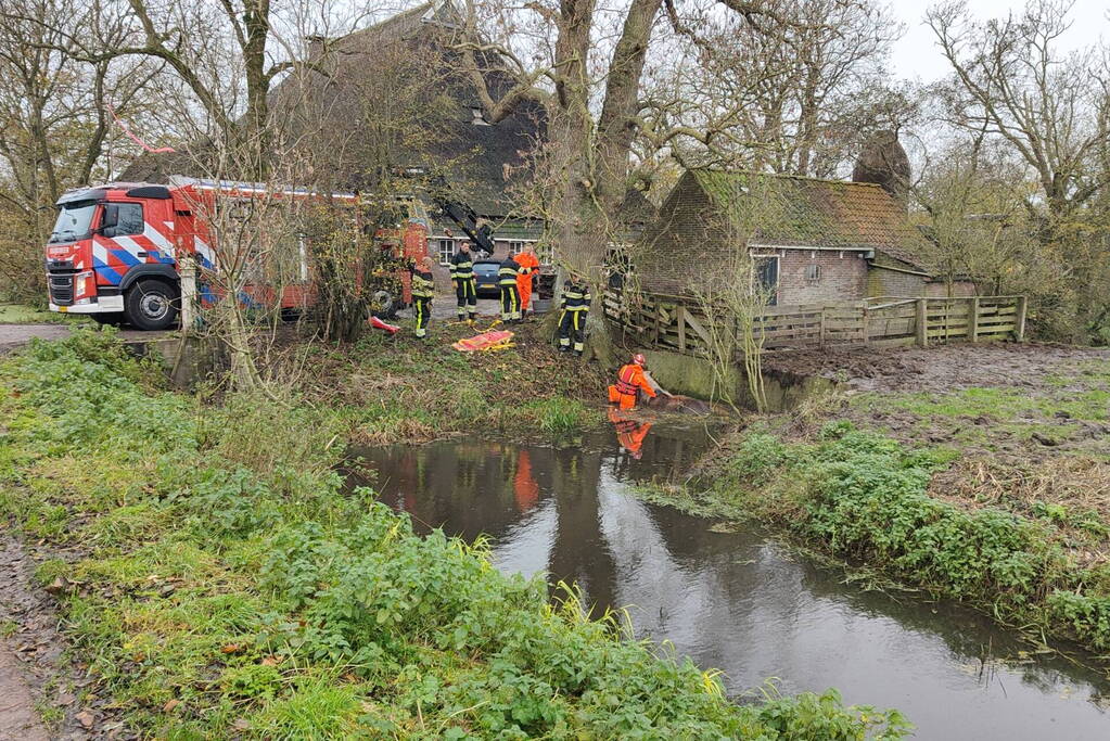 Paard uit het water gered met kraan
