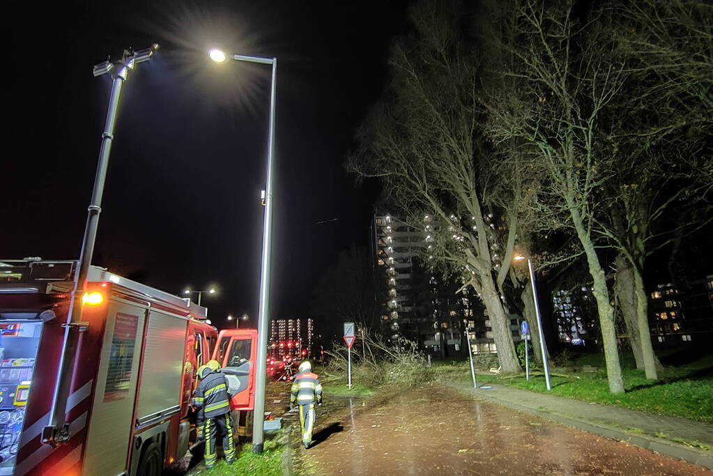 Grote tak breekt uit boom