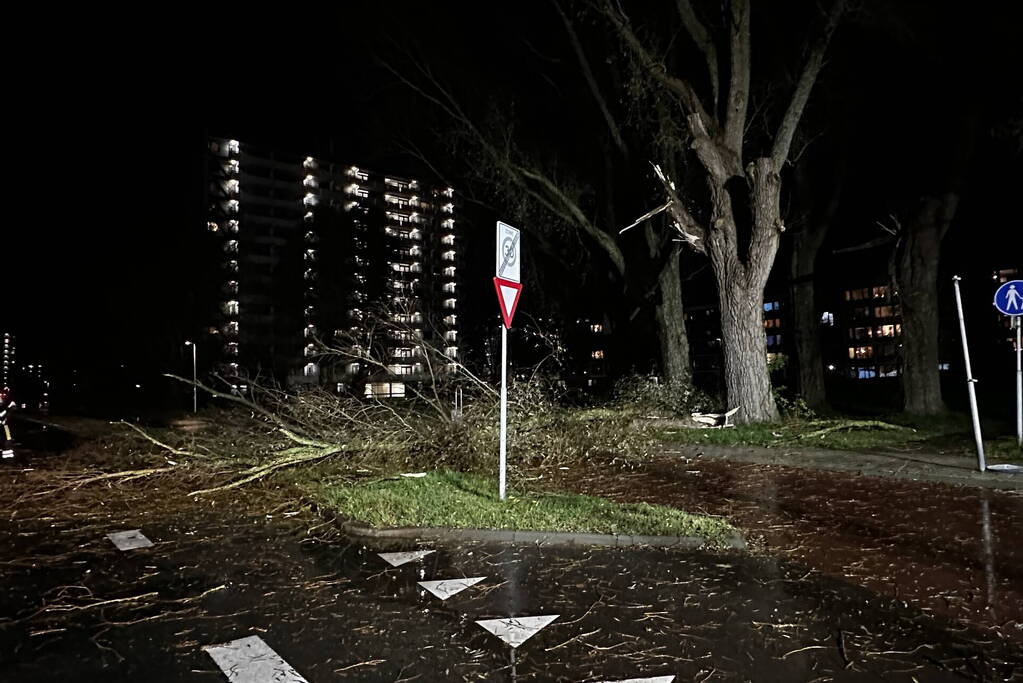 Grote tak breekt uit boom