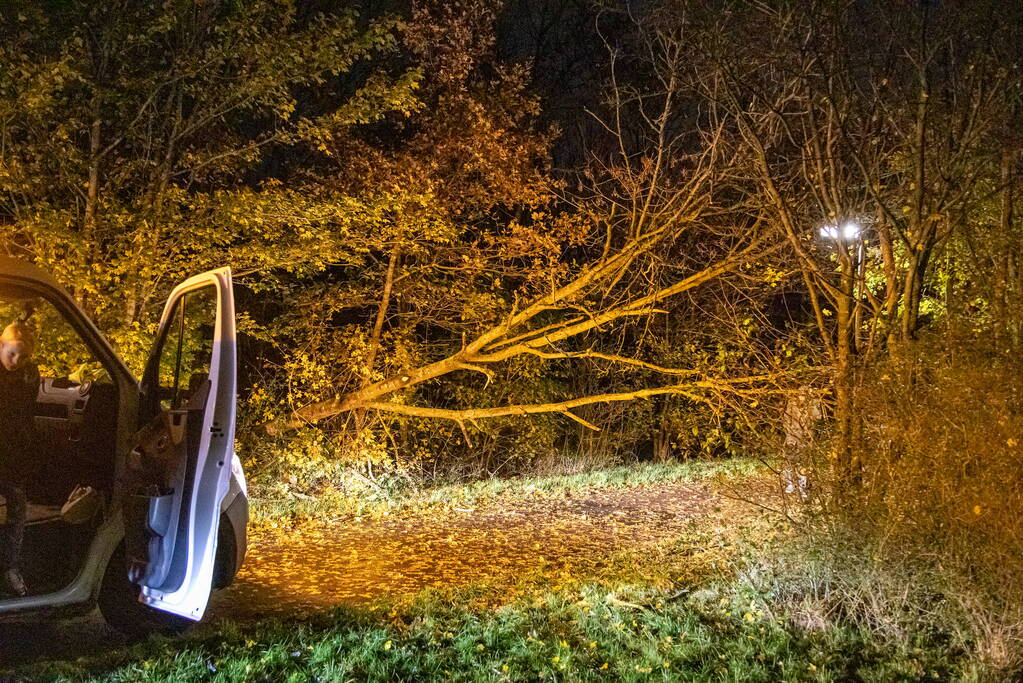 Scooterrijder gewond bij botsing met omgewaaide boom