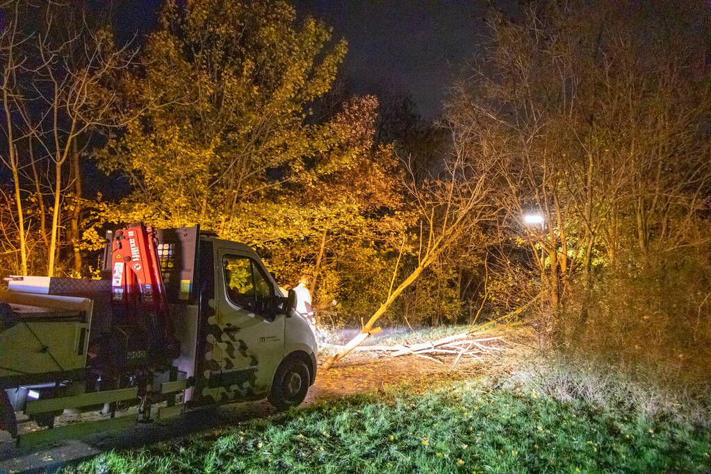 Scooterrijder gewond bij botsing met omgewaaide boom