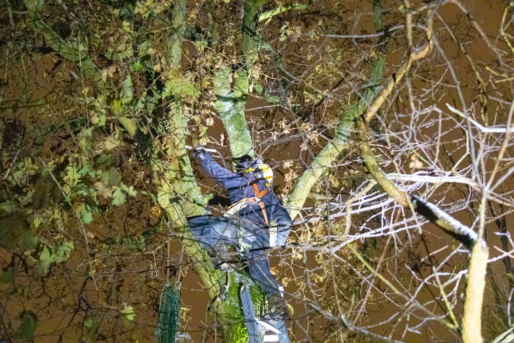 Brandweer ingezet voor vermiste serval