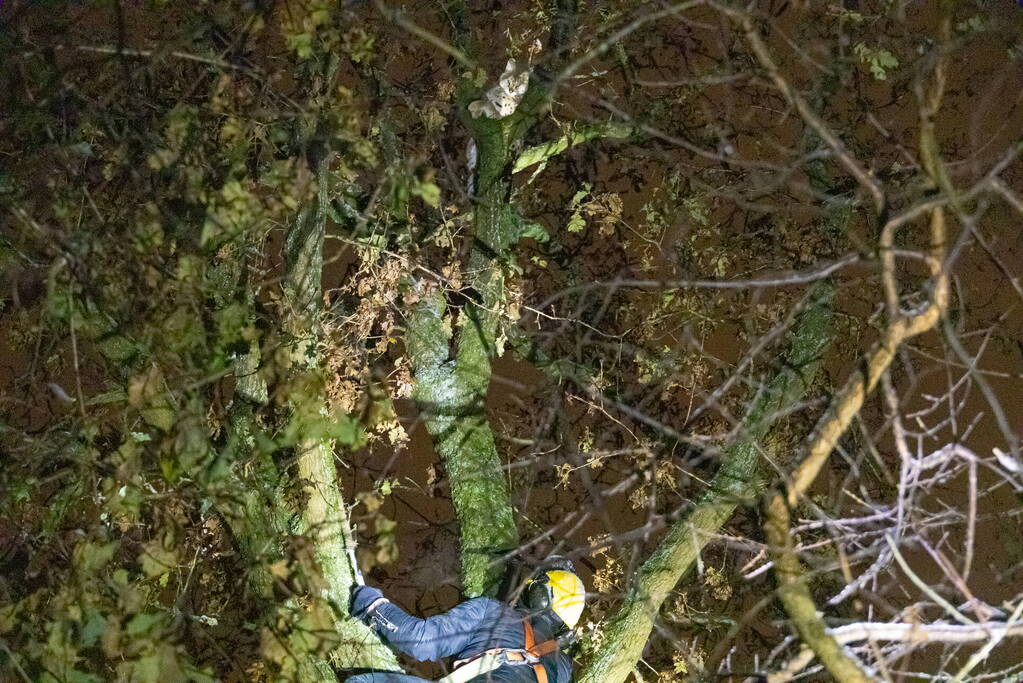 Brandweer ingezet voor vermiste serval