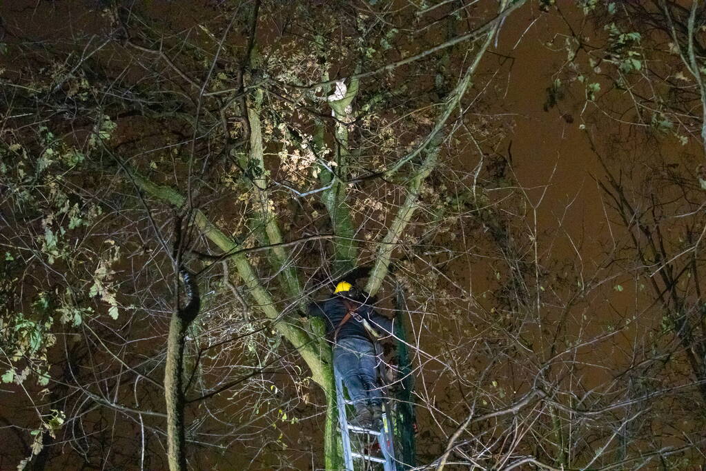 Brandweer ingezet voor vermiste serval