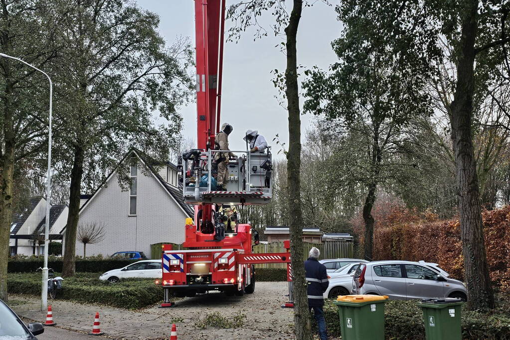 Nest Aziatische Hoornaars verwijderd met behulp van hoogwerker