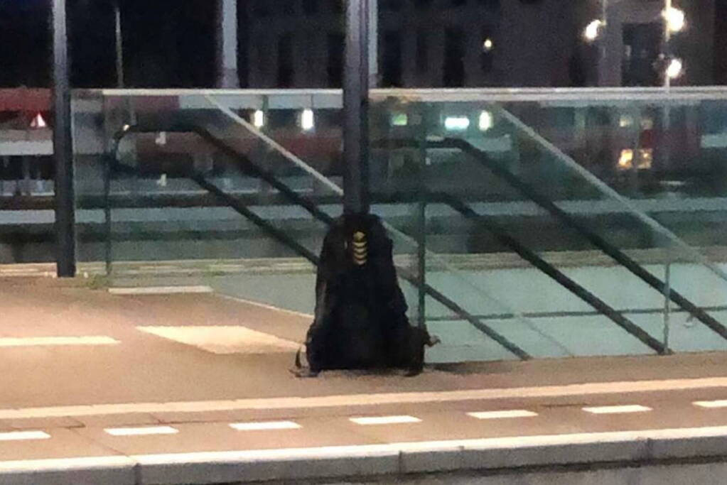 Treinstation ontruimd na aantreffen verdachte tas