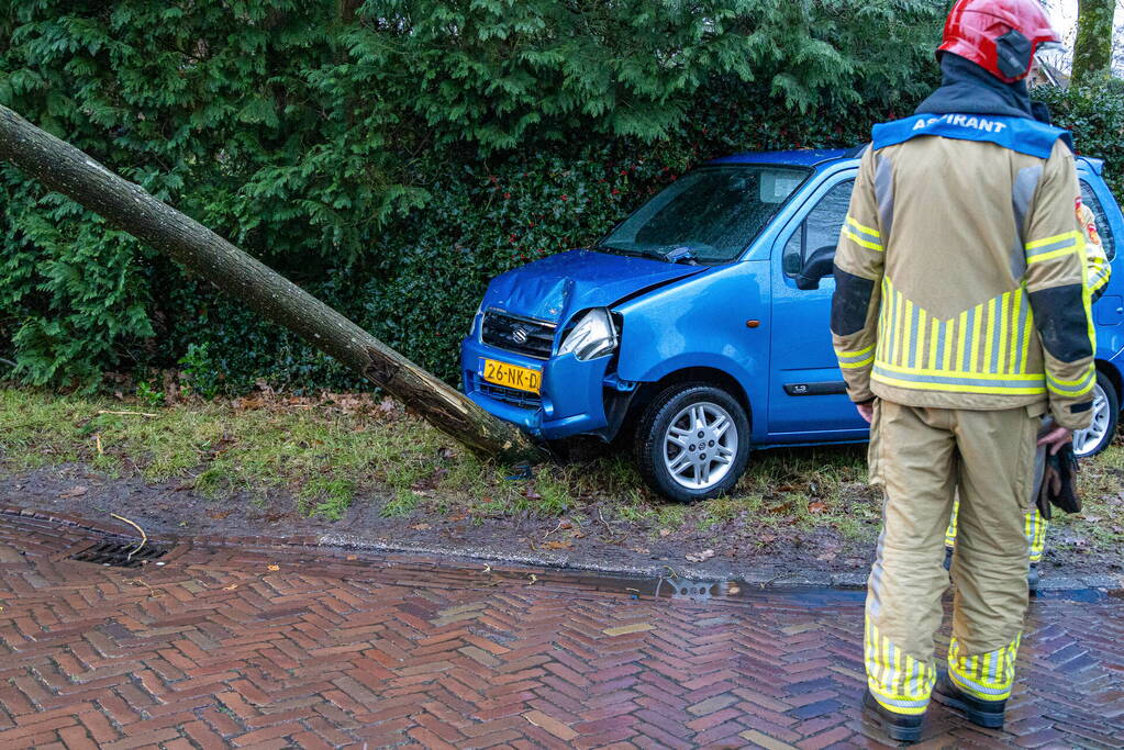 Automobilist rijdt boom omver