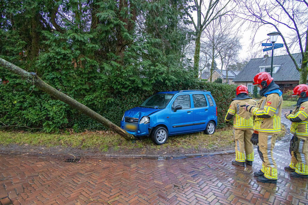 Automobilist rijdt boom omver