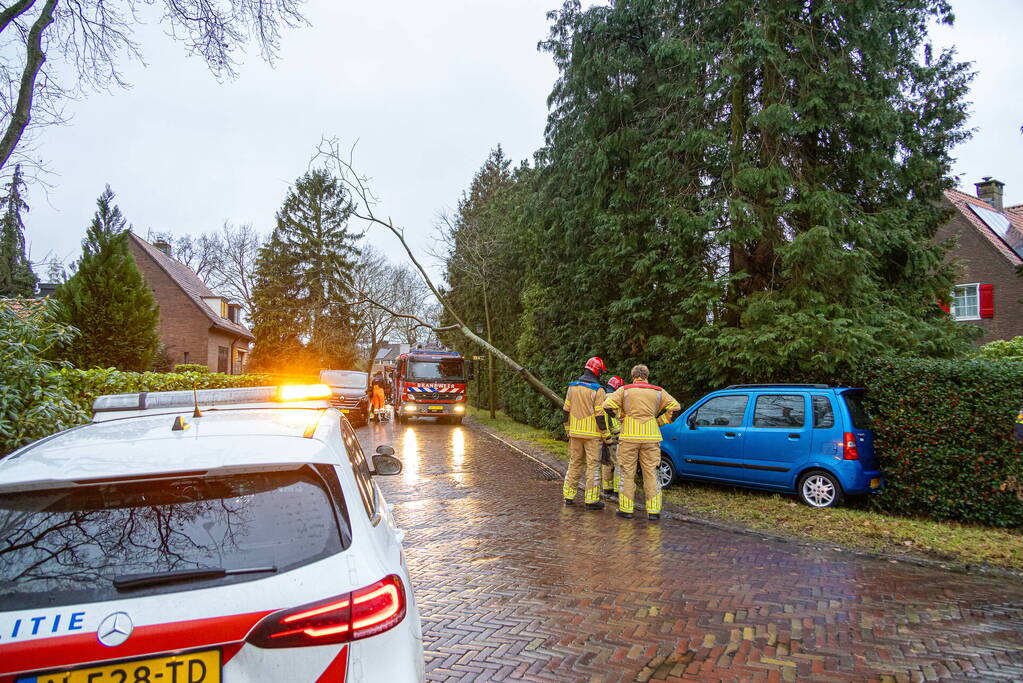 Automobilist rijdt boom omver