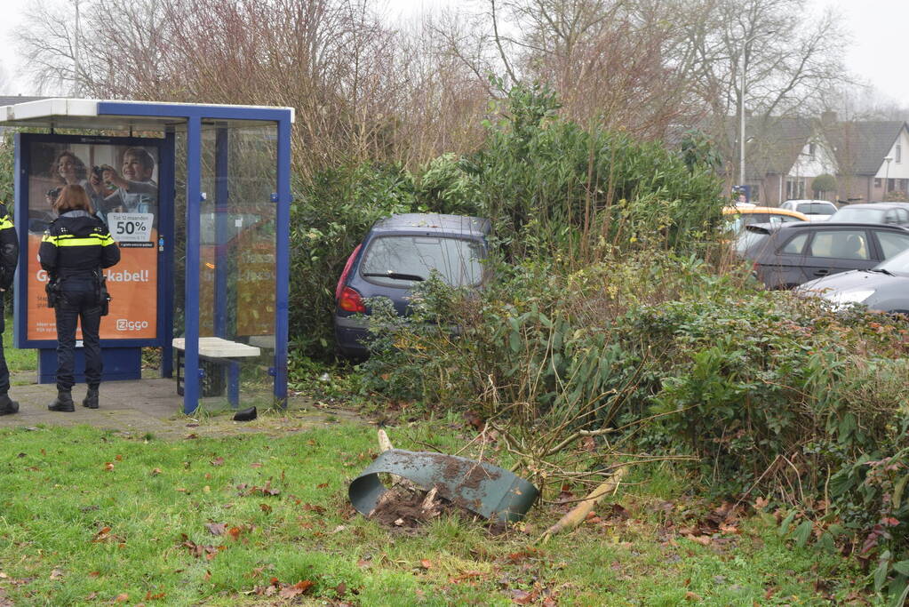 Auto raakt van weg en belandt in bosjes