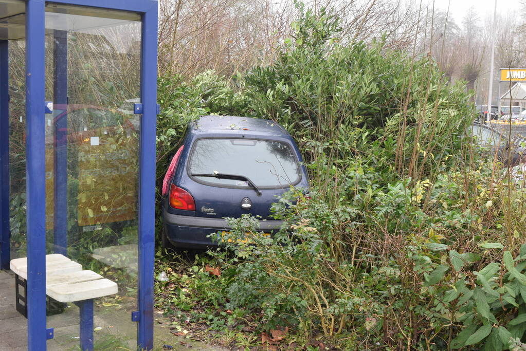 Auto raakt van weg en belandt in bosjes