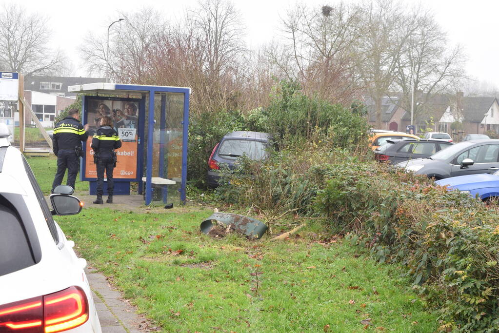 Auto raakt van weg en belandt in bosjes