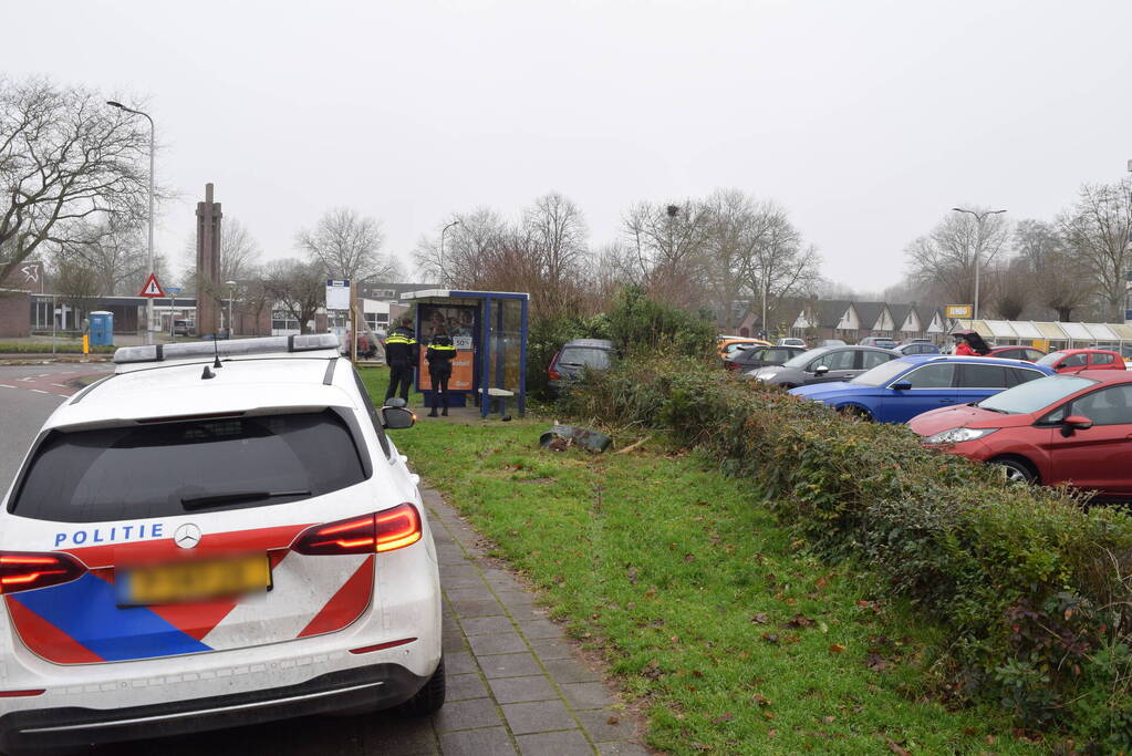 Auto raakt van weg en belandt in bosjes