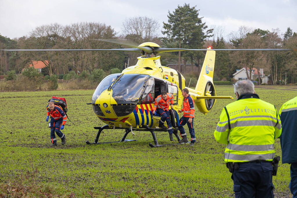Bestuurder van bestelbus botst op boom