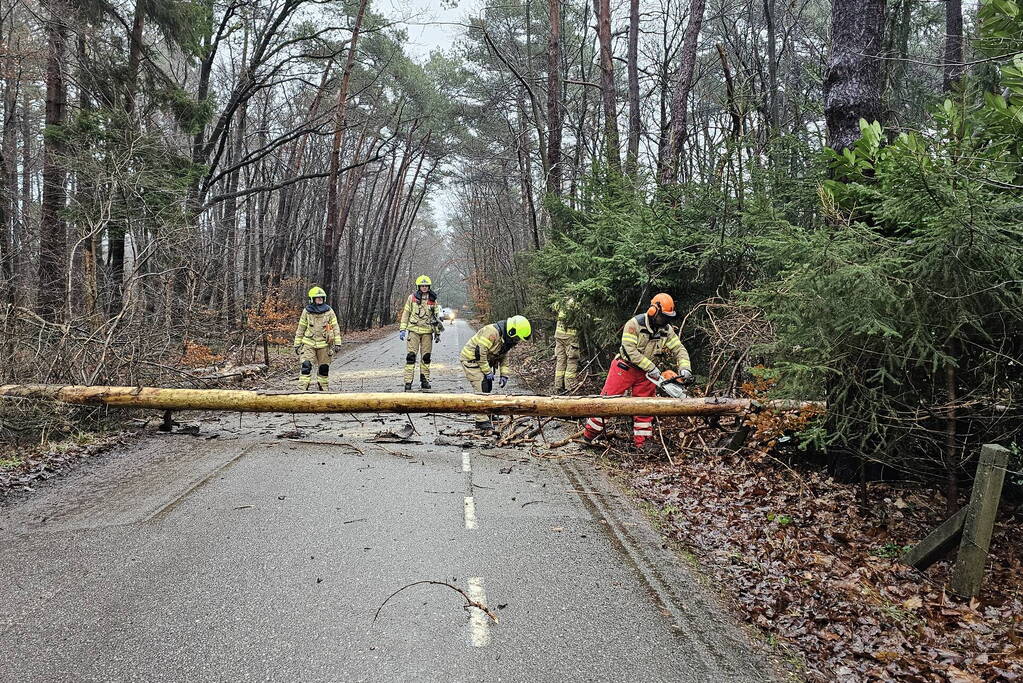 Twee bomen geveld door storm Pia