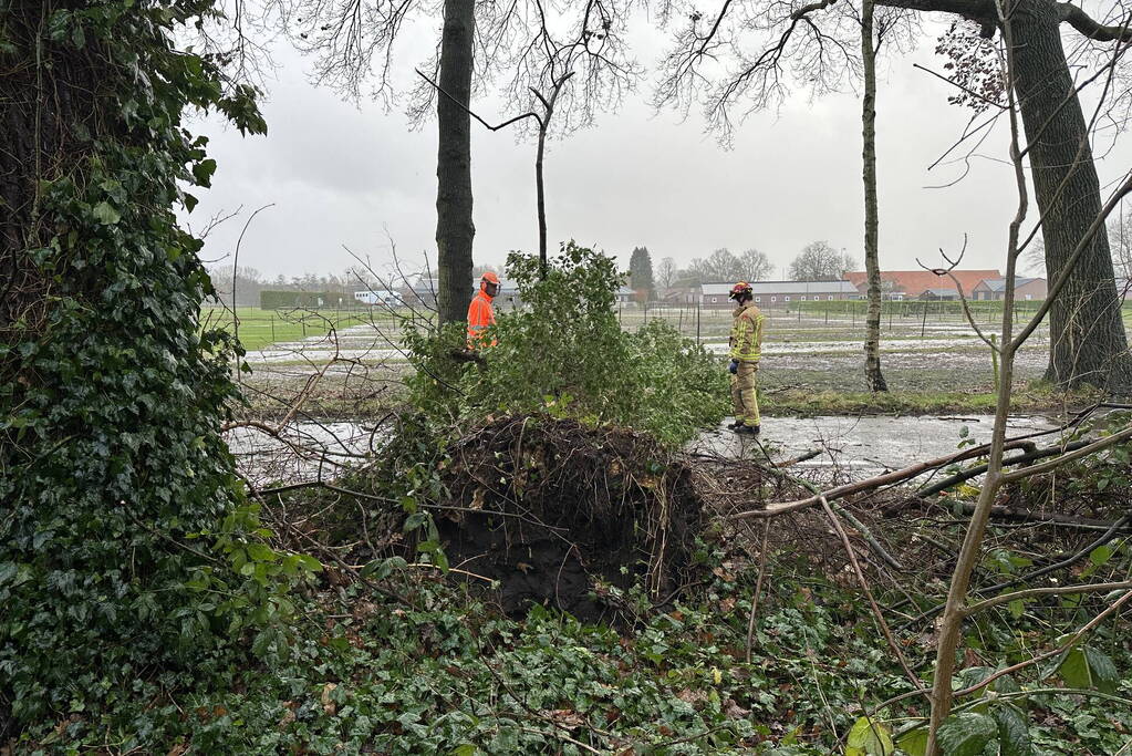 Omgevallen boom verspert weg