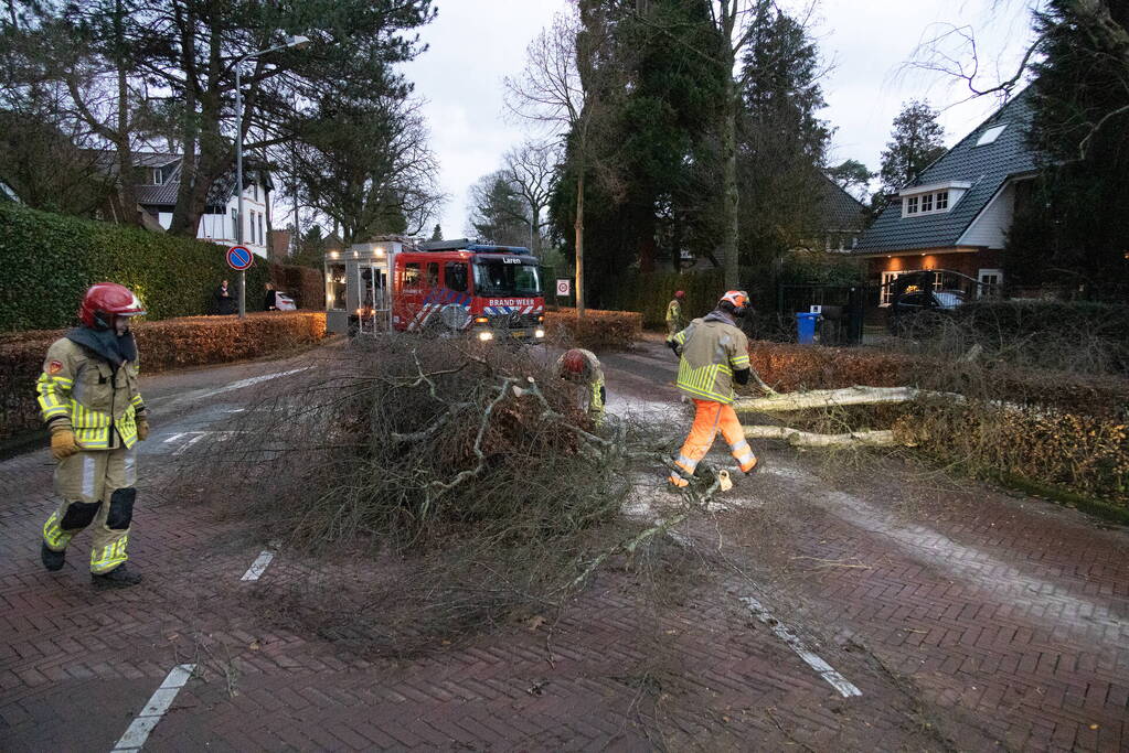 Weg afgesloten door omgevallen boom