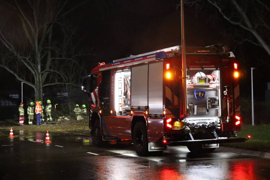 Meerdere bomen omver door storm