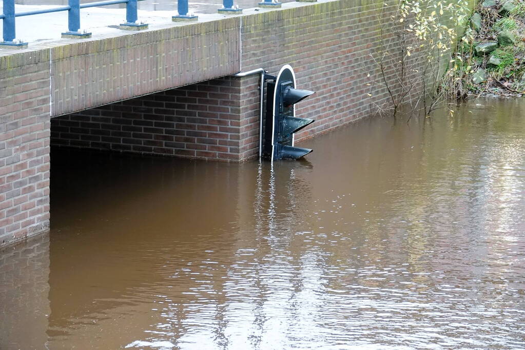 Hoogwater zet uiterwaarden van de Vecht onder water