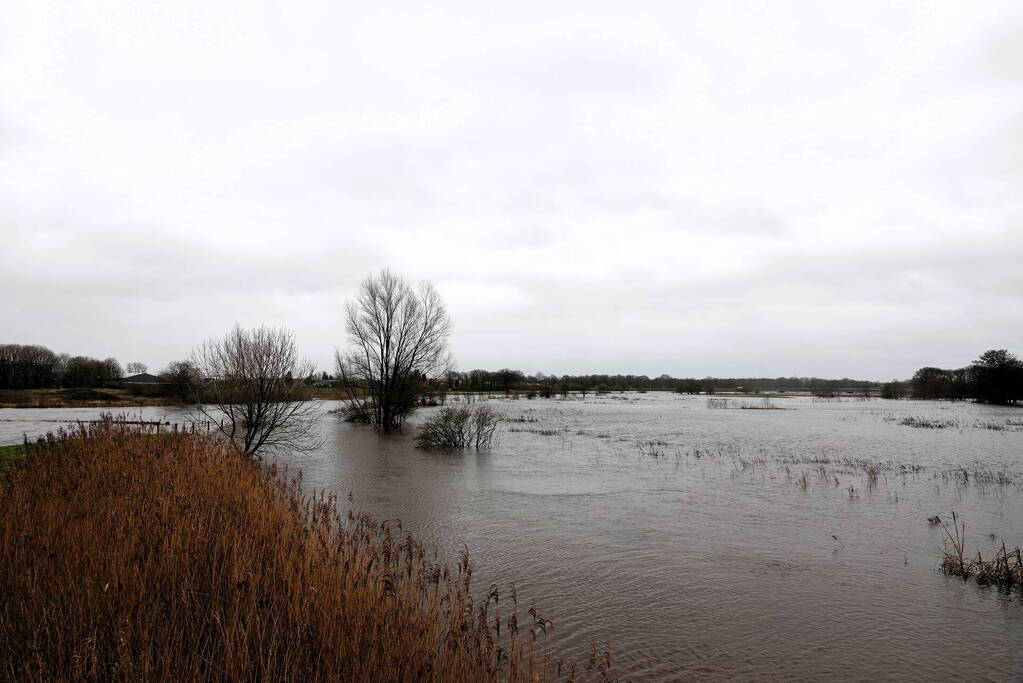 Hoogwater zet uiterwaarden van de Vecht onder water