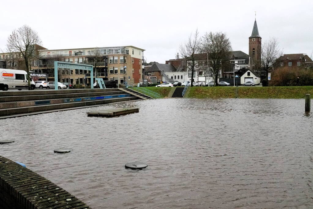 Hoogwater zet uiterwaarden van de Vecht onder water