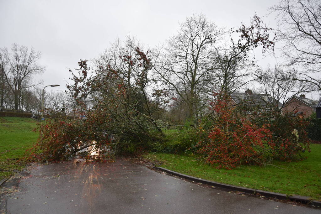 Omgewaaide boom verspert weg
