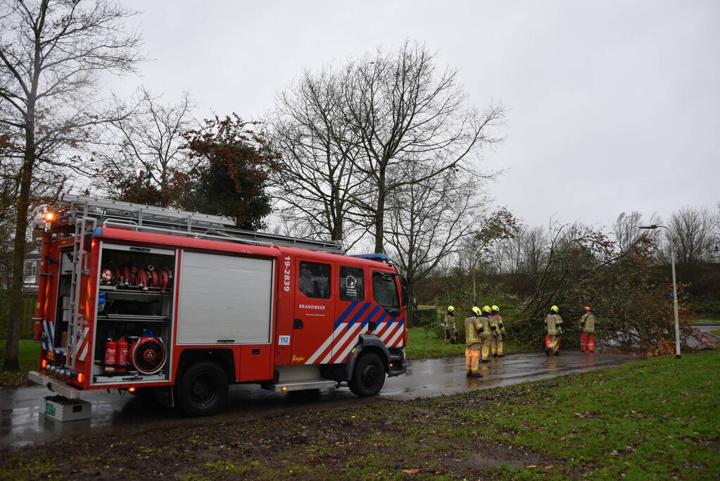 Omgewaaide boom verspert weg