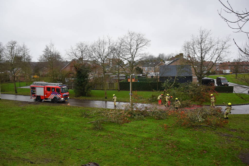 Omgewaaide boom verspert weg